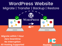 WordPress Website Migration, Transfer, Clone in 1 Hour
